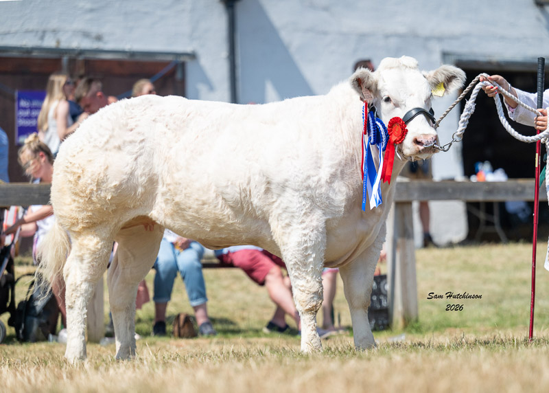 285 - Harelaw Verocica - Reserve Overall